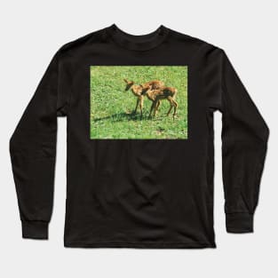 Little Fawns Exploring Long Sleeve T-Shirt